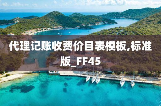 代理记账收费价目表模板,标准版_FF45