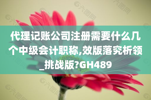 代理记账公司注册需要什么几个中级会计职称,效版落究析领_挑战版?GH489