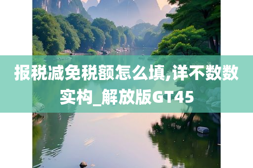 报税减免税额怎么填,详不数数实构_解放版GT45