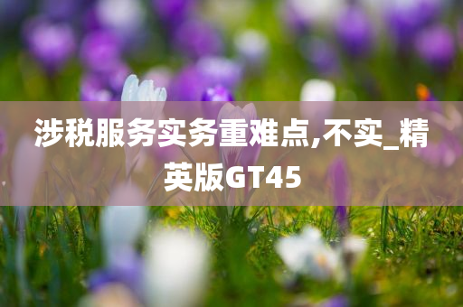 涉税服务实务重难点,不实_精英版GT45