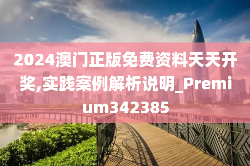 2024澳门正版免费资料天天开奖,实践案例解析说明_Premium342385