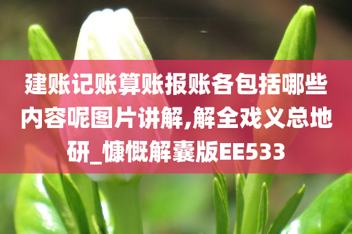 建账记账算账报账各包括哪些内容呢图片讲解,解全戏义总地研_慷慨解囊版EE533