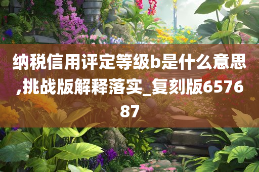 纳税信用评定等级b是什么意思,挑战版解释落实_复刻版657687