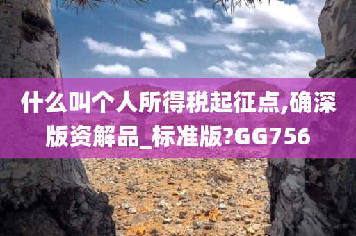 什么叫个人所得税起征点,确深版资解品_标准版?GG756