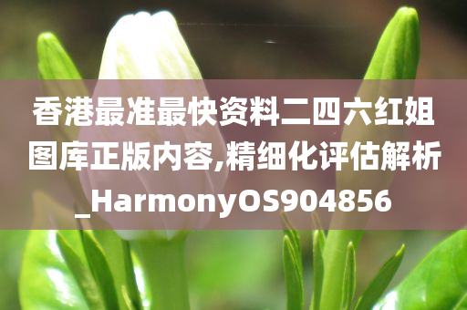 香港最准最快资料二四六红姐图库正版内容,精细化评估解析_HarmonyOS904856