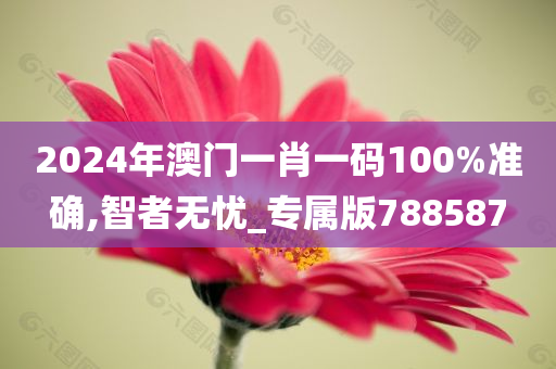 2024年澳门一肖一码100%准确,智者无忧_专属版788587