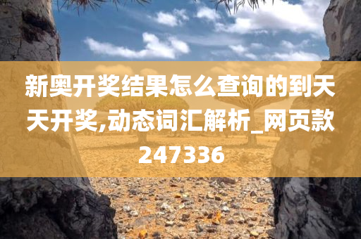 新奥开奖结果怎么查询的到天天开奖,动态词汇解析_网页款247336