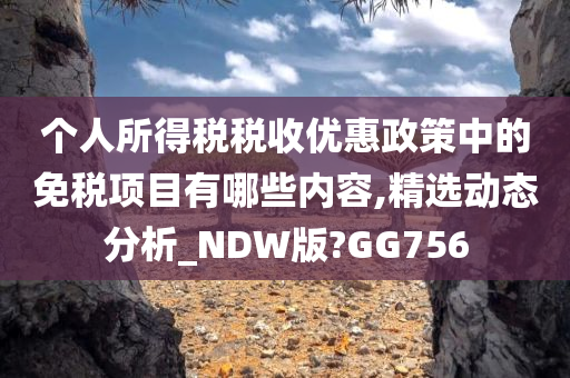 个人所得税税收优惠政策中的免税项目有哪些内容,精选动态分析_NDW版?GG756