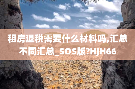 租房退税需要什么材料吗,汇总不同汇总_SOS版?HJH66