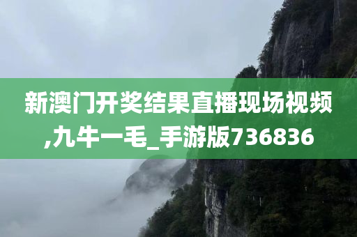 新澳门开奖结果直播现场视频,九牛一毛_手游版736836