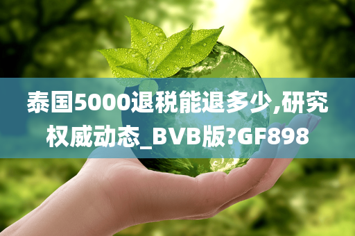 泰国5000退税能退多少,研究权威动态_BVB版?GF898