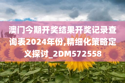 澳门今期开奖结果开奖记录查询表2024年份,精细化策略定义探讨_2DM572558