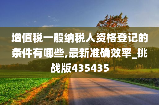 增值税一般纳税人资格登记的条件有哪些,最新准确效率_挑战版435435