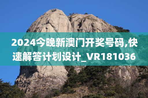 2024今晚新澳门开奖号码,快速解答计划设计_VR181036