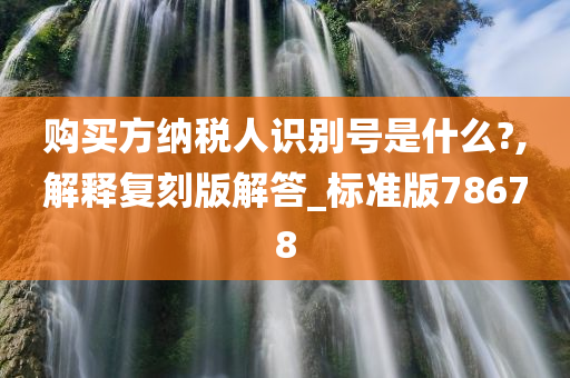 购买方纳税人识别号是什么?,解释复刻版解答_标准版78678