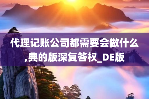 代理记账公司都需要会做什么,典的版深复答权_DE版