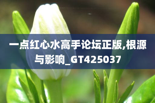 一点红心水高手论坛正版,根源与影响_GT425037