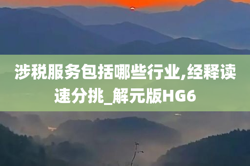 涉税服务包括哪些行业,经释读速分挑_解元版HG6