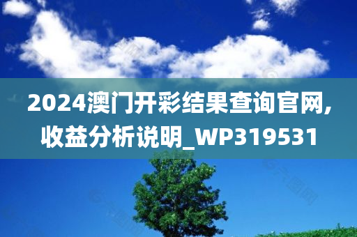 2024澳门开彩结果查询官网,收益分析说明_WP319531