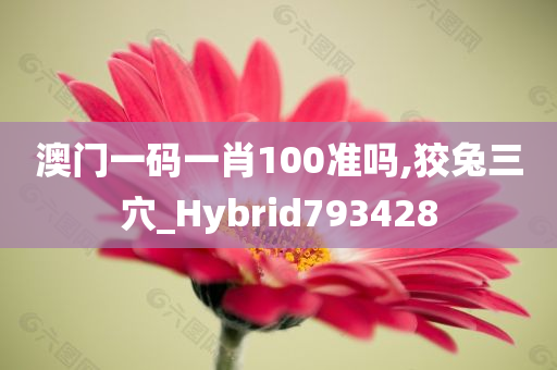 澳门一码一肖100准吗,狡兔三穴_Hybrid793428