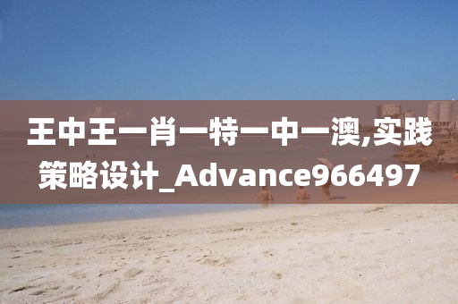 王中王一肖一特一中一澳,实践策略设计_Advance966497