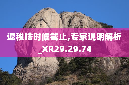 退税啥时候截止,专家说明解析_XR29.29.74