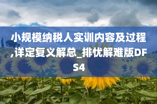 小规模纳税人实训内容及过程,详定复义解总_排忧解难版DFS4