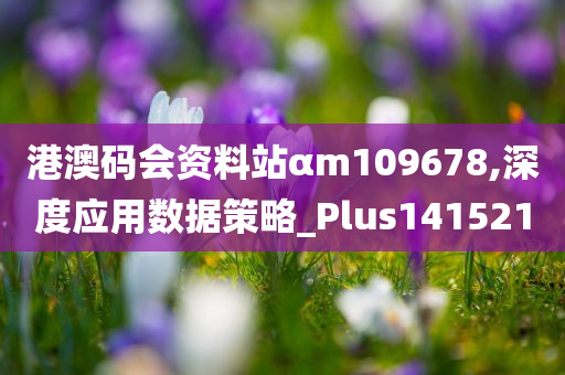 港澳码会资料站αm109678,深度应用数据策略_Plus141521