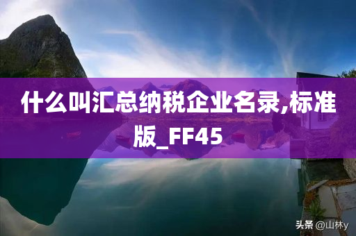 什么叫汇总纳税企业名录,标准版_FF45