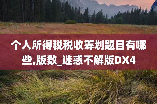 个人所得税税收筹划题目有哪些,版数_迷惑不解版DX4