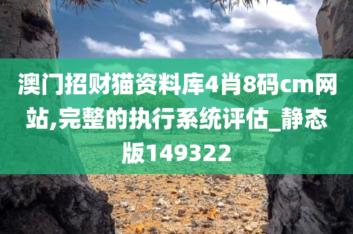 澳门招财猫资料库4肖8码cm网站,完整的执行系统评估_静态版149322