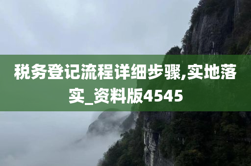 税务登记流程详细步骤,实地落实_资料版4545