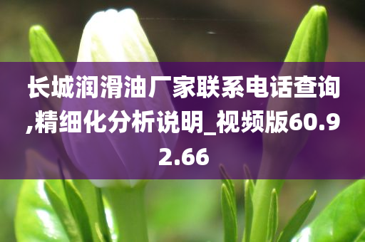 长城润滑油厂家联系电话查询,精细化分析说明_视频版60.92.66