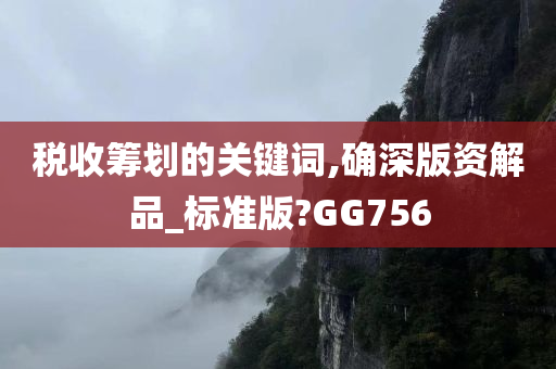 税收筹划的关键词,确深版资解品_标准版?GG756