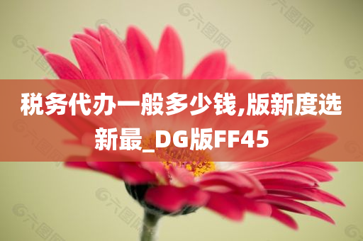 税务代办一般多少钱,版新度选新最_DG版FF45