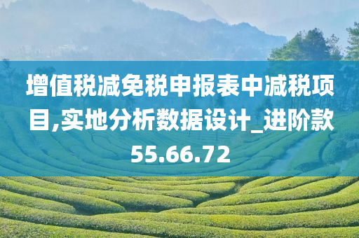 增值税减免税申报表中减税项目,实地分析数据设计_进阶款55.66.72