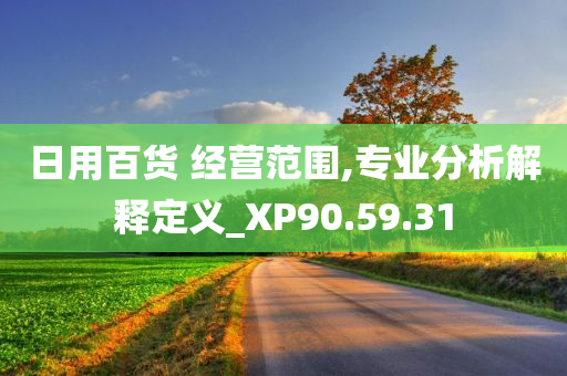 日用百货 经营范围,专业分析解释定义_XP90.59.31