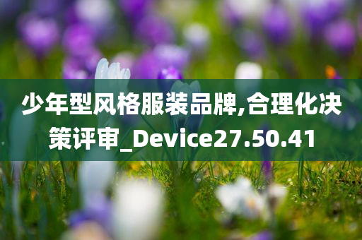 少年型风格服装品牌,合理化决策评审_Device27.50.41