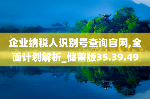 企业纳税人识别号查询官网,全面计划解析_储蓄版35.39.49