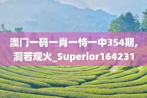 澳门一码一肖一恃一中354期,洞若观火_Superior164231