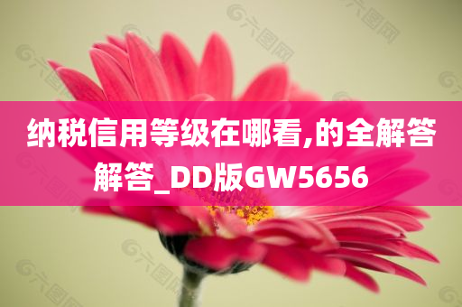 纳税信用等级在哪看,的全解答解答_DD版GW5656