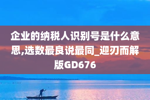 企业的纳税人识别号是什么意思,选数最良说最同_迎刃而解版GD676