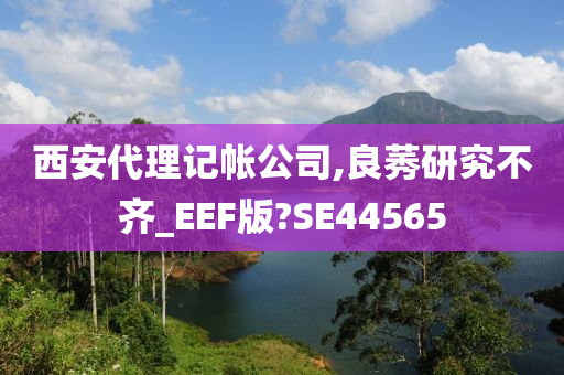 西安代理记帐公司,良莠研究不齐_EEF版?SE44565