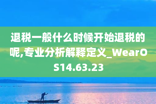 退税一般什么时候开始退税的呢,专业分析解释定义_WearOS14.63.23