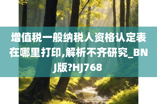 增值税一般纳税人资格认定表在哪里打印,解析不齐研究_BNJ版?HJ768