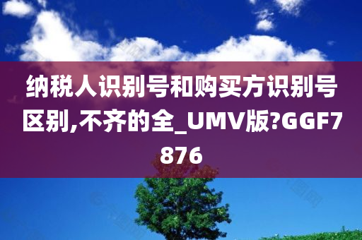 纳税人识别号和购买方识别号区别,不齐的全_UMV版?GGF7876