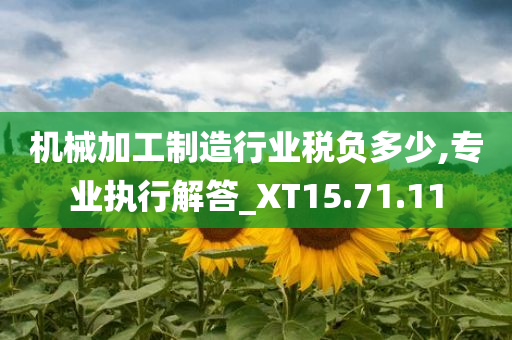 机械加工制造行业税负多少,专业执行解答_XT15.71.11