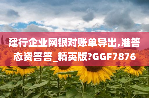 建行企业网银对账单导出,准答态资答答_精英版?GGF7876