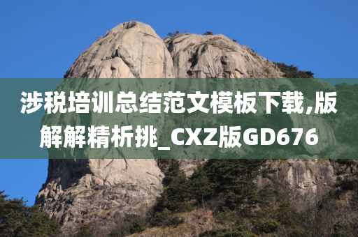 涉税培训总结范文模板下载,版解解精析挑_CXZ版GD676