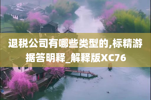 退税公司有哪些类型的,标精游据答明释_解释版XC76